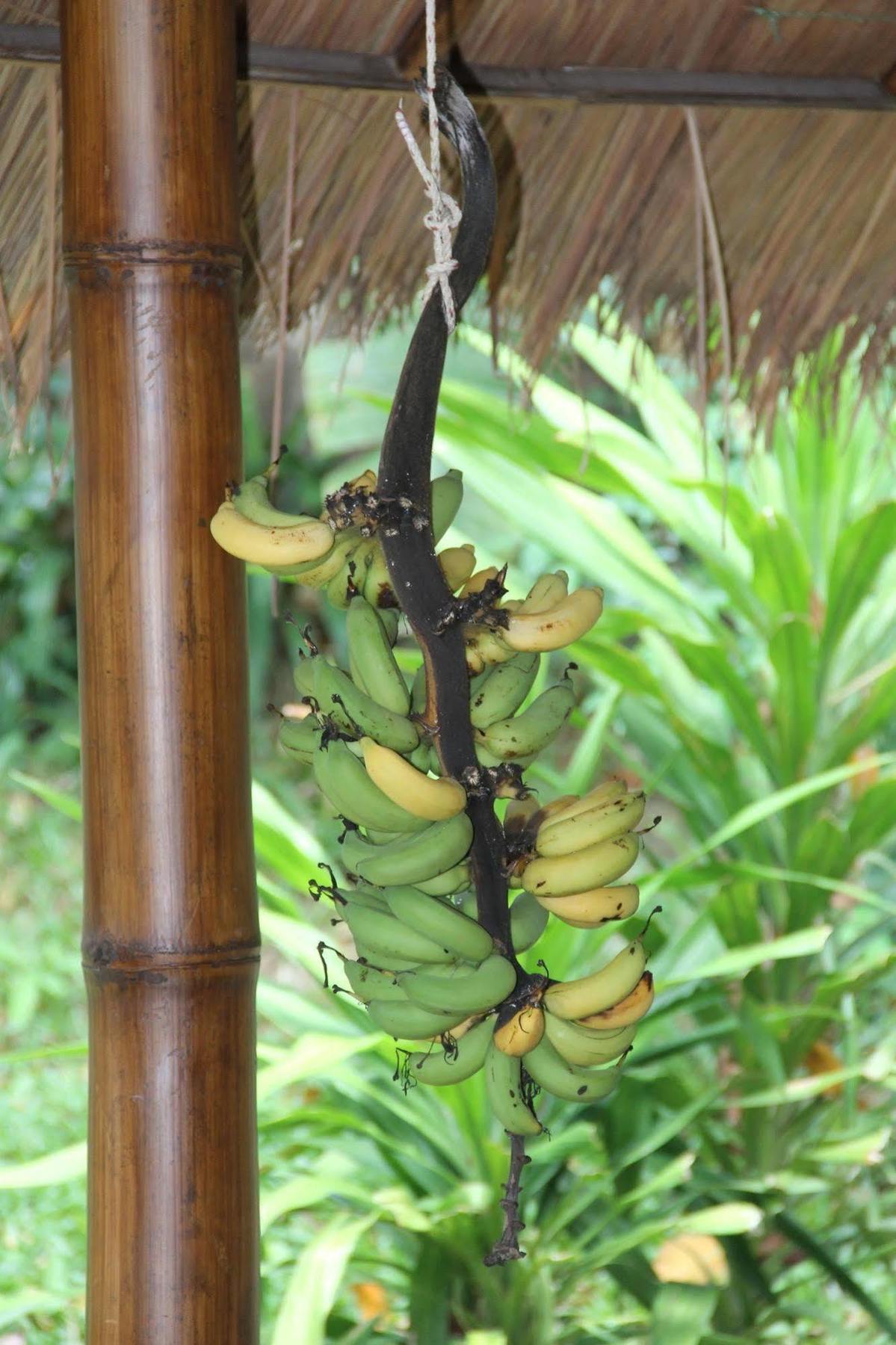 Gecko Lipe Resort Kültér fotó